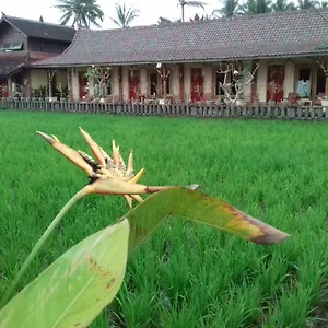 Rice Padi Artha 5*, Ubud (Bali) Indonesia